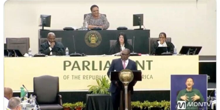 South african minister