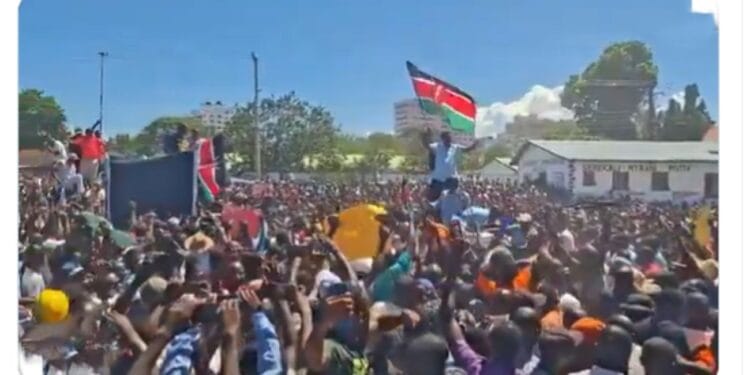 Tononoka linda mwanachi rally