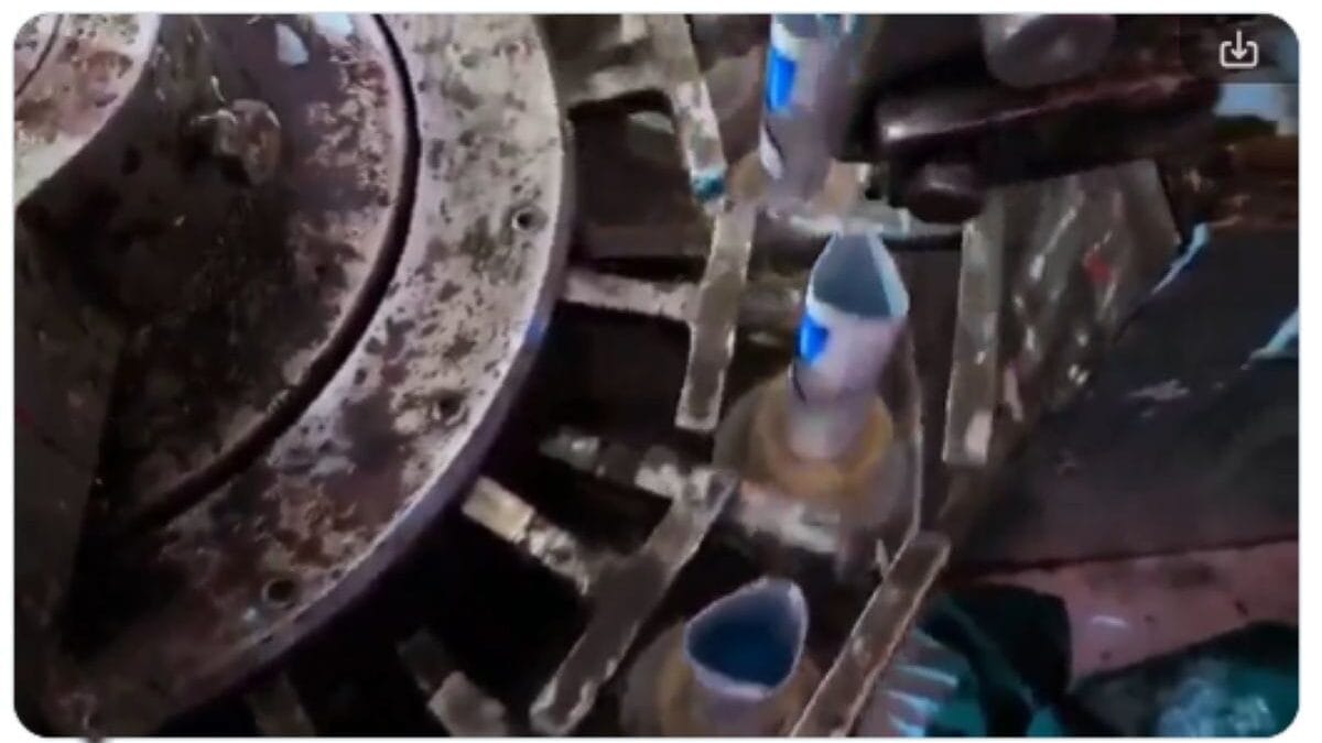 Fake sensodyne plant