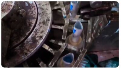 Fake sensodyne plant