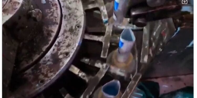 Fake sensodyne plant