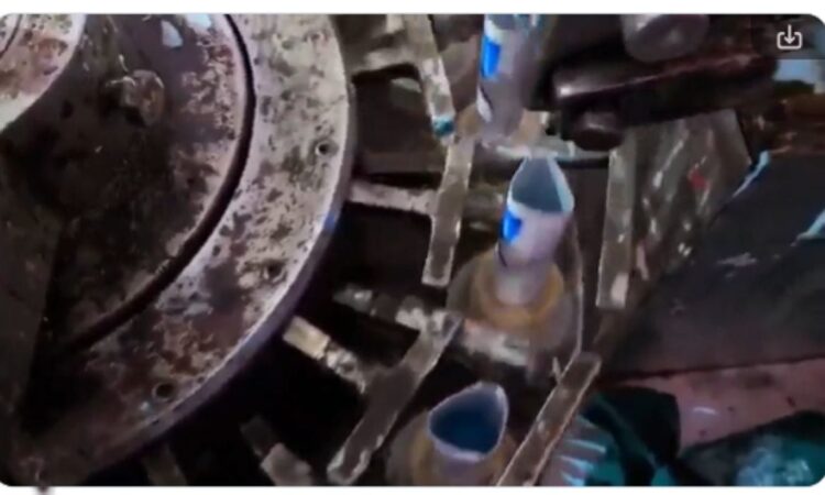 Fake sensodyne plant