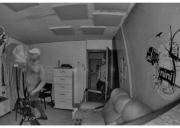 Iko nini studios theft