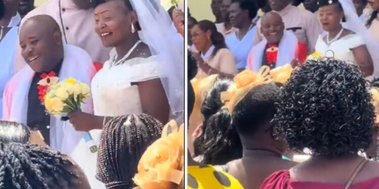 Mshamba zebedayo wedding