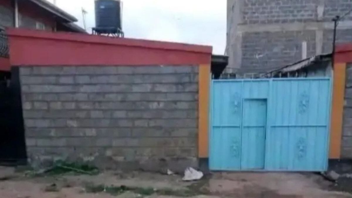Ngariama blue apartments