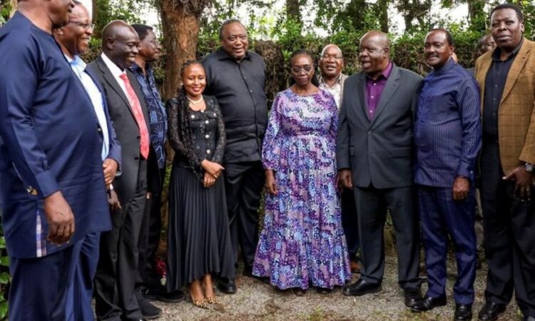 Opposition in kirinyaga