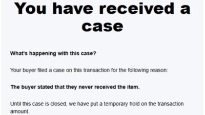Paypal loading case