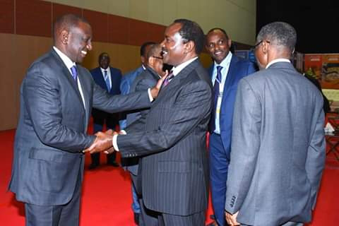 Ruto-Kalonzo and Mudavadi alliance to be unveiled officially before the end of next year. 