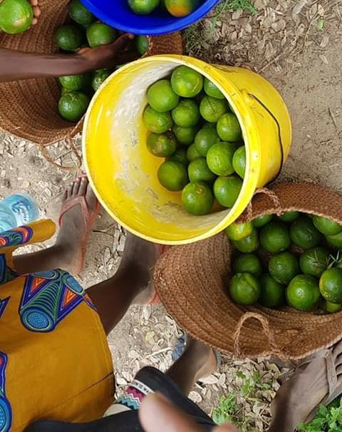 Children work odd jobs to make ends meet. PHOTO | BNC