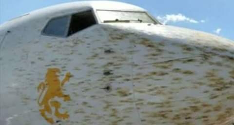 Ethiopian plane forced to land over hitting locusts. PHOTO | BMS