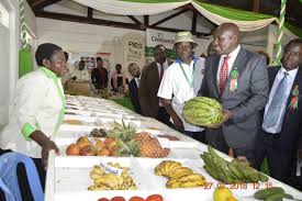 Mombasa ASK show 2019 preparations. PHOTO | NMG Mombasa ASK show 2019 preparations. PHOTO | NMG