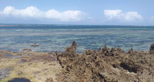 Chale Island in Kwale with hotels photo Chale Island in Kwale with hotels photo