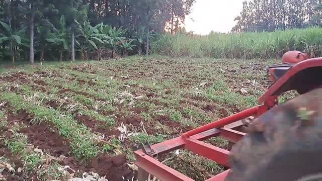 Chiromo Fertilizer in West Pokot photo Chiromo Fertilizer in West Pokot photo