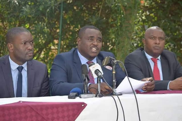 Senator Cleo Malala photo
