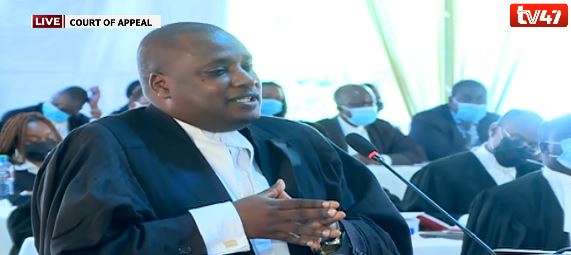 Lawyer Elias Mutuma praised for roasting lawyers Orengo and Otiende Omolo on BBI appeal