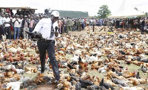 Ruto goes back where "hustler" name started – Kambi ya Kuku