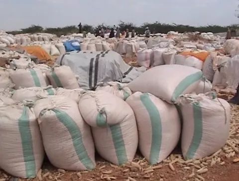 Bura irrigation scheme produce