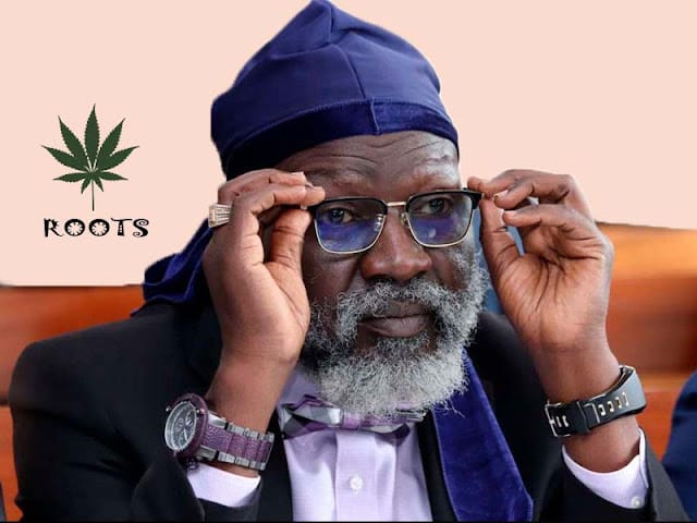 Roots Party Presidential Aspirant George Wajackoyah  popularity