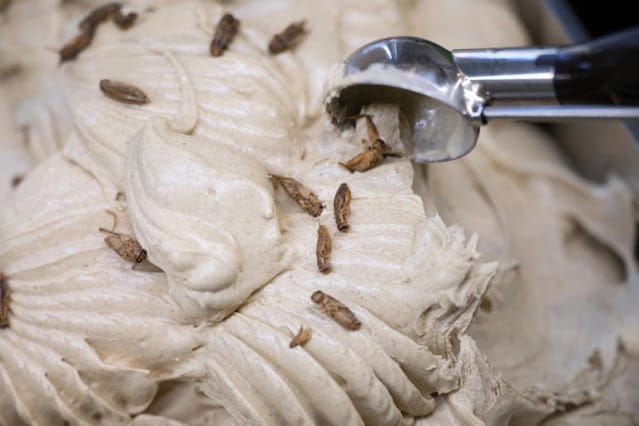 [PHOTOS] German ice cream parlour begins selling yummy cricket-flavored scoops