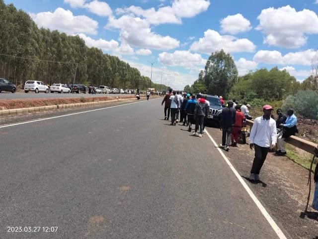 Azimio protesters evade Kenyatta family land along Nairobi Eastern Bypass, steal milk and livestock