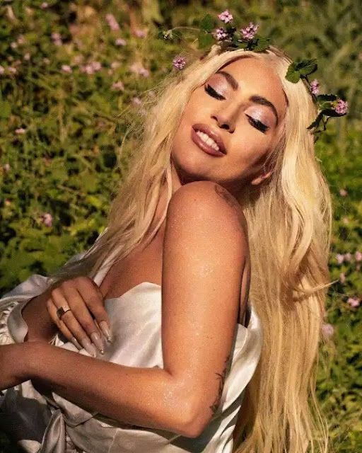 Prominent pop star and actress Lady Gaga Prominent pop star and actress Lady Gaga photo