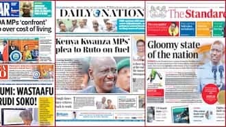 I don't care about popularity! Ruto answers Kenya Kwanza MPs asking about high cost of living