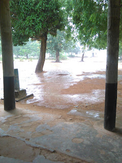 Continuation of elnino or climate change.