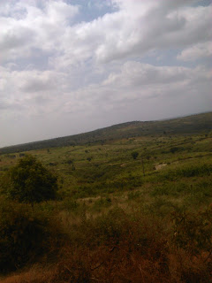 Booming agribusiness at the coast of kenya.