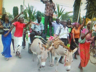 "peoples warmer" used donkeys and tuktuk to present his papers to the IEBC.