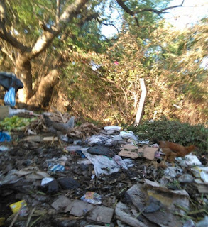 Dumps. Botlles picked on dumps for selling water.