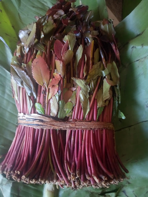Statehouse bans Muguka and Miraa chewing to its security officers and other staffs