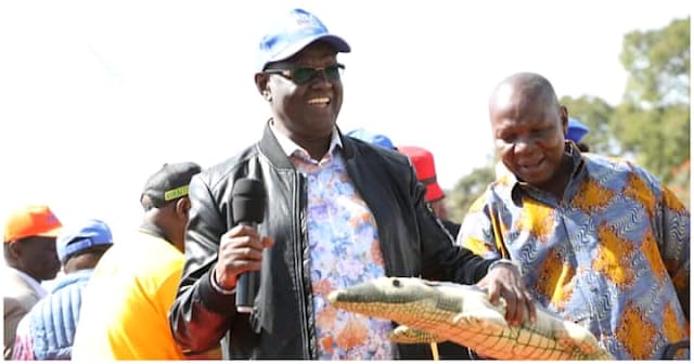 Kiraitu Murungi: William Ruto's government will be by the thieves for the thieves