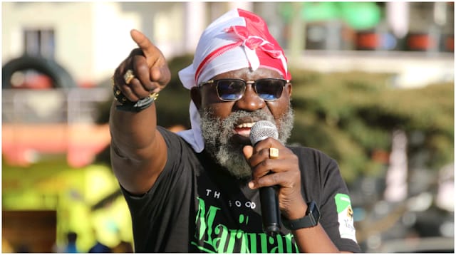 Prof. George Wajackoyah reveals who killed Dr. Robert Ouko leading him to go into exile in 1990