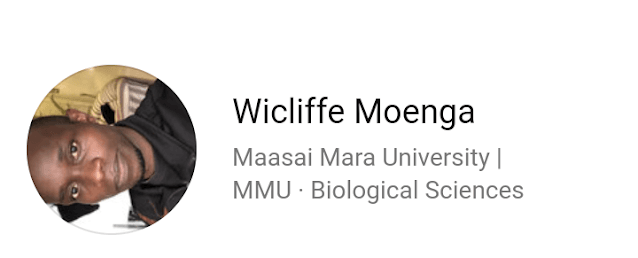 Maasai Mara graduate Wicliffe Moenga hacks government systems, employs himself as an MP received salaries