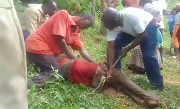 Meru man kills father, cooks the meat with rice citing meat hard to chew