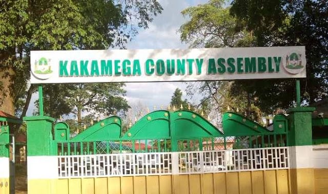 Kakamega county marriage, wedding and church functions fee raised to Sh 50,000 by Kakamega county assembly You will pay Sh 50,000 county fees to wed in Kakamega, the county law states