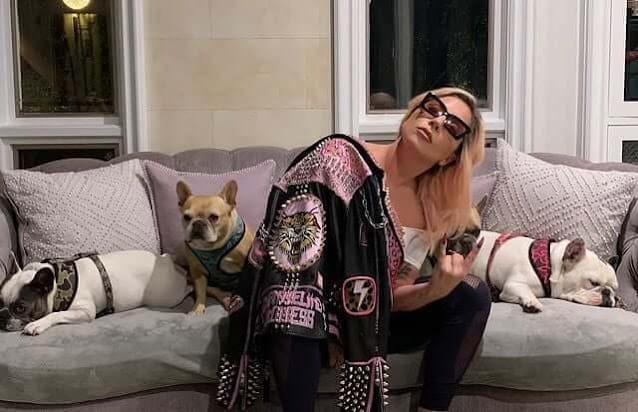 Lady Gaga dogs: Lady Gaga promises 0 to anyone who finds her lost dogs Gustavo and Koji
