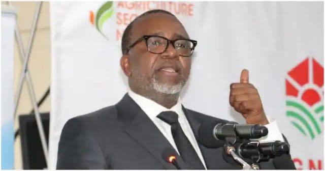 Agriculture CS, Mithika Linturi Bamper harvest or hot air? Agriculture CS Mithika Linturi promises historic low unga prices (less than Sh 100)