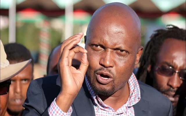 Gatundu South Moses Kuria, Moses Kuria photos and images MP Moses Kuria on the spot over giving tenders to his family, latest Jane Wambui Kuria, Kiki holdings