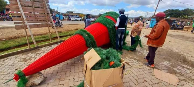 Nyandarua and Kitui counties import Christmas trees worth Sh 12 Million and Sh 20 Million respectively