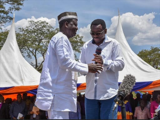 Siaya leader Senator James Orengo photo