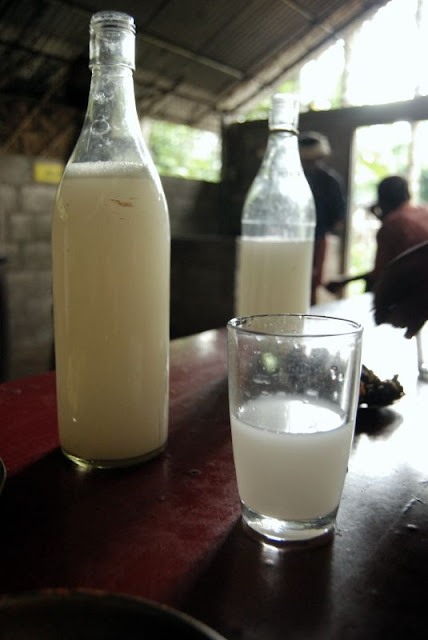 Benefits of Mnazi plam wine in the body listed photo