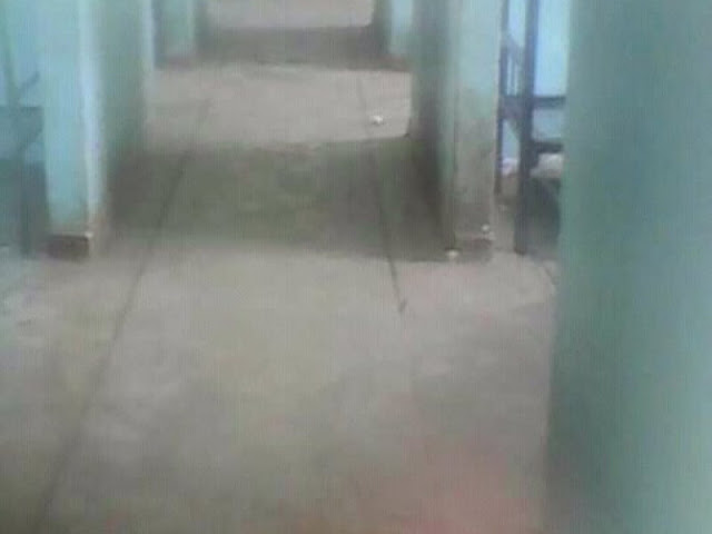 Agnes Riara locked at Quarantine facility in Nyandarua after failing to bribe Police officers -COVID-19 Bribes