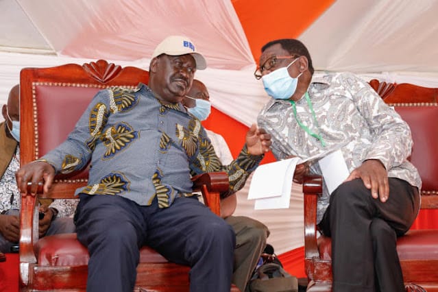 Siaya Senator James Orengo Sen. James Orengo to be kicked out of all Senate committees follows MP Otiende Omolo