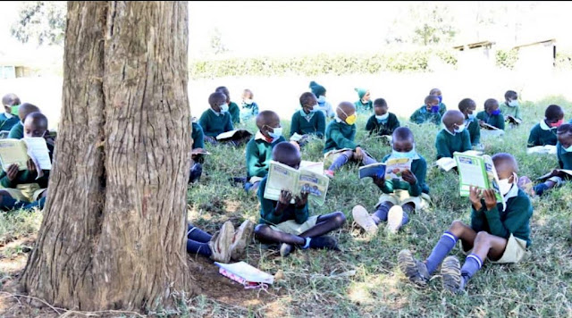 [PHOTOS] Viral photos of pupils learning under trees across the country ignites debate online