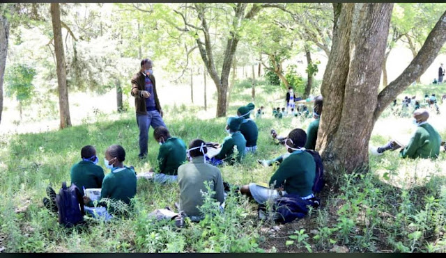 [PHOTOS] Viral photos of pupils learning under trees across the country ignites debate online