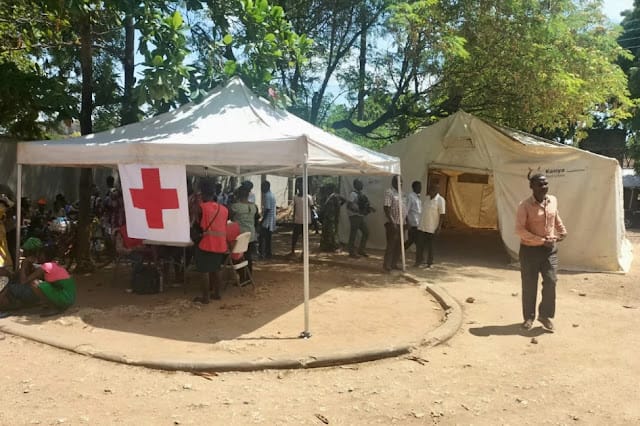 Kenya Redcross in Shakahola Shakahola Massacre: Over 300 of Pastor Paul Mackenzie’s followers in Shakahola are yet to be identified