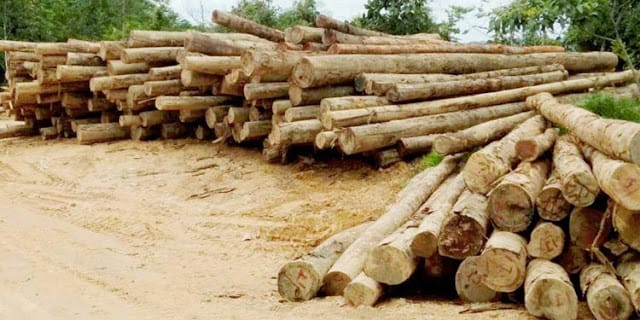 Chinese employer mistreats employee to death in a wood processing firm, Londiani