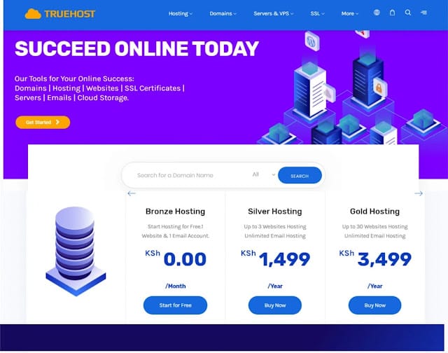 Truehost best hosting company in Kenya Honest Truehost Kenya Reviews: Reliable, 99.99% uptime, cheap, and with the best customer service