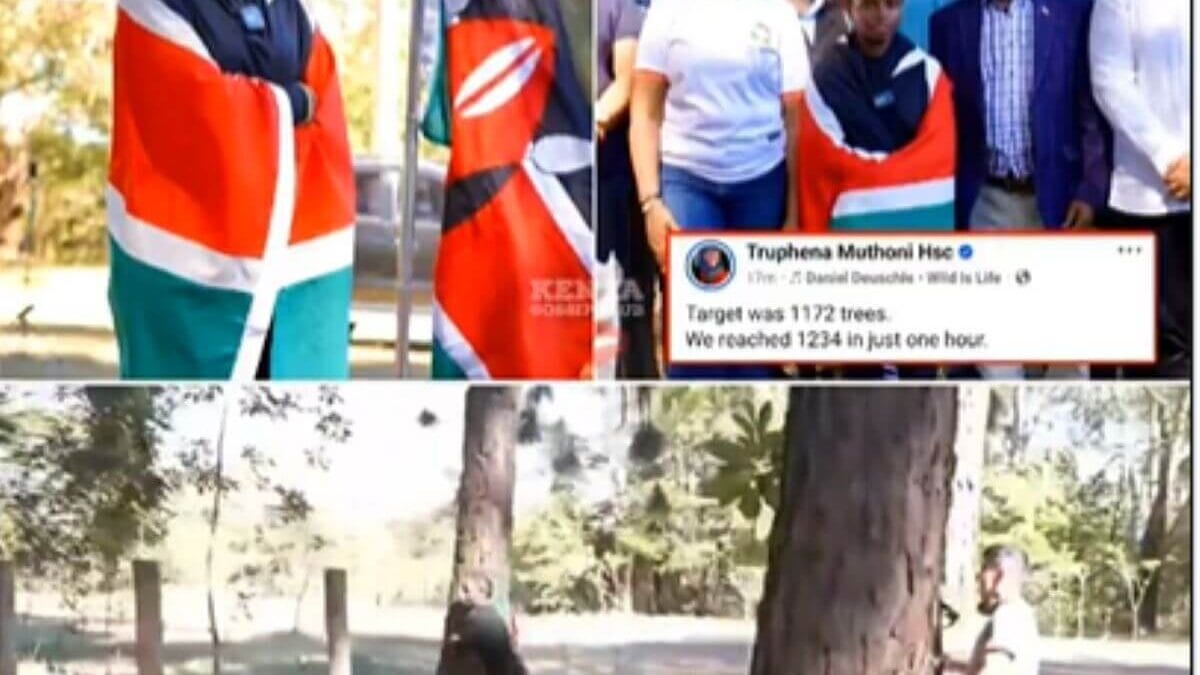 Truphena muthoni (1)